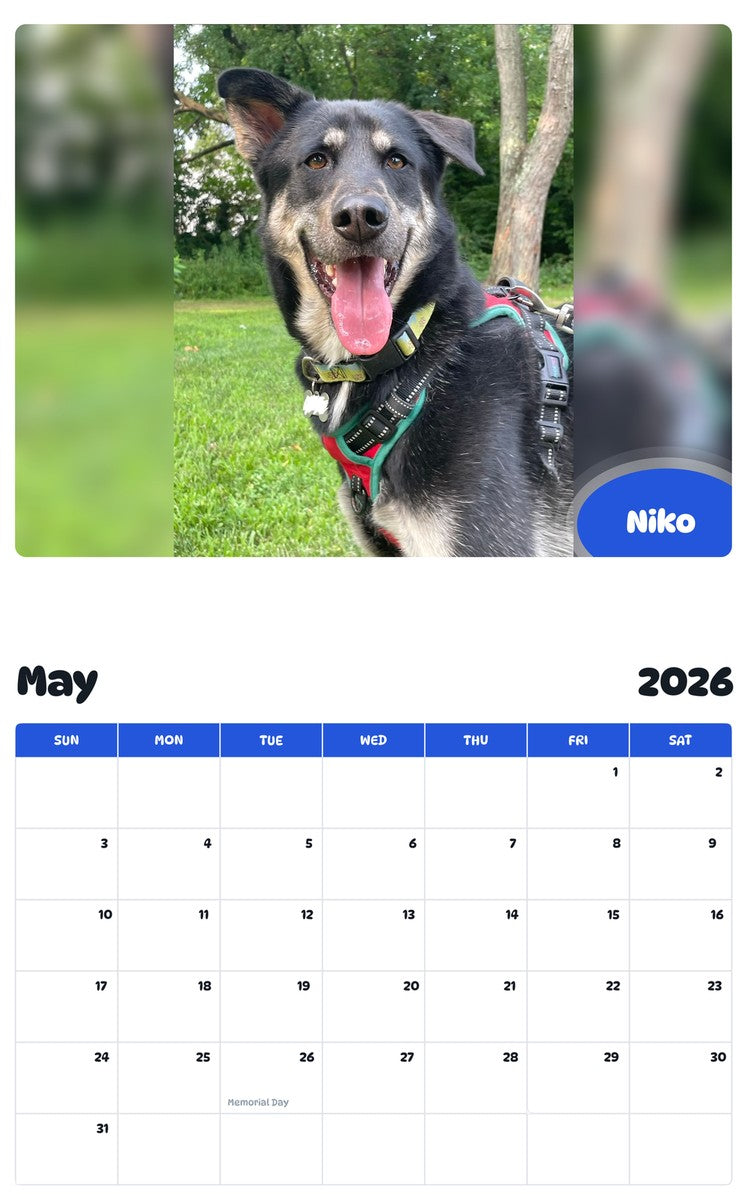 2026 - 2027 Niko - Pawidols Pet Calendar