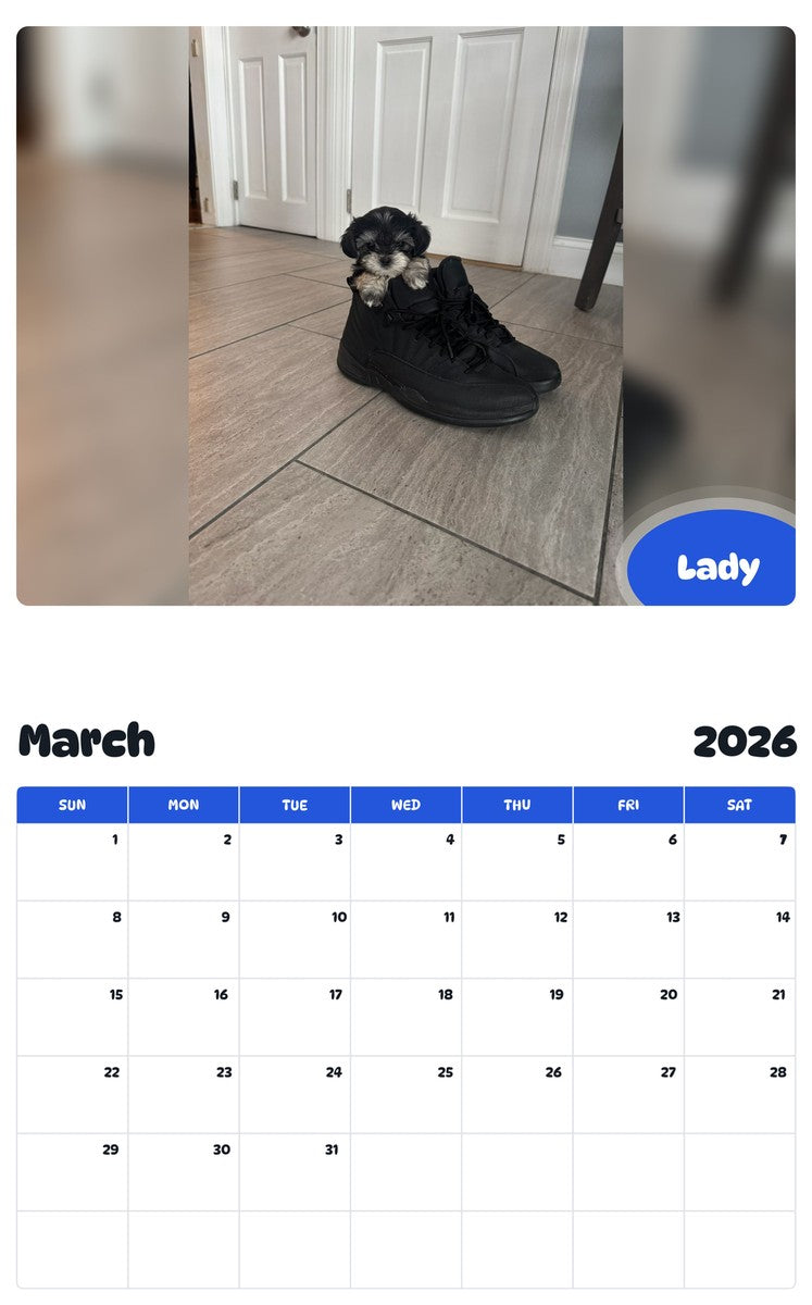 November 2025 - October 2026 Lady - Pawidols Pet Calendar