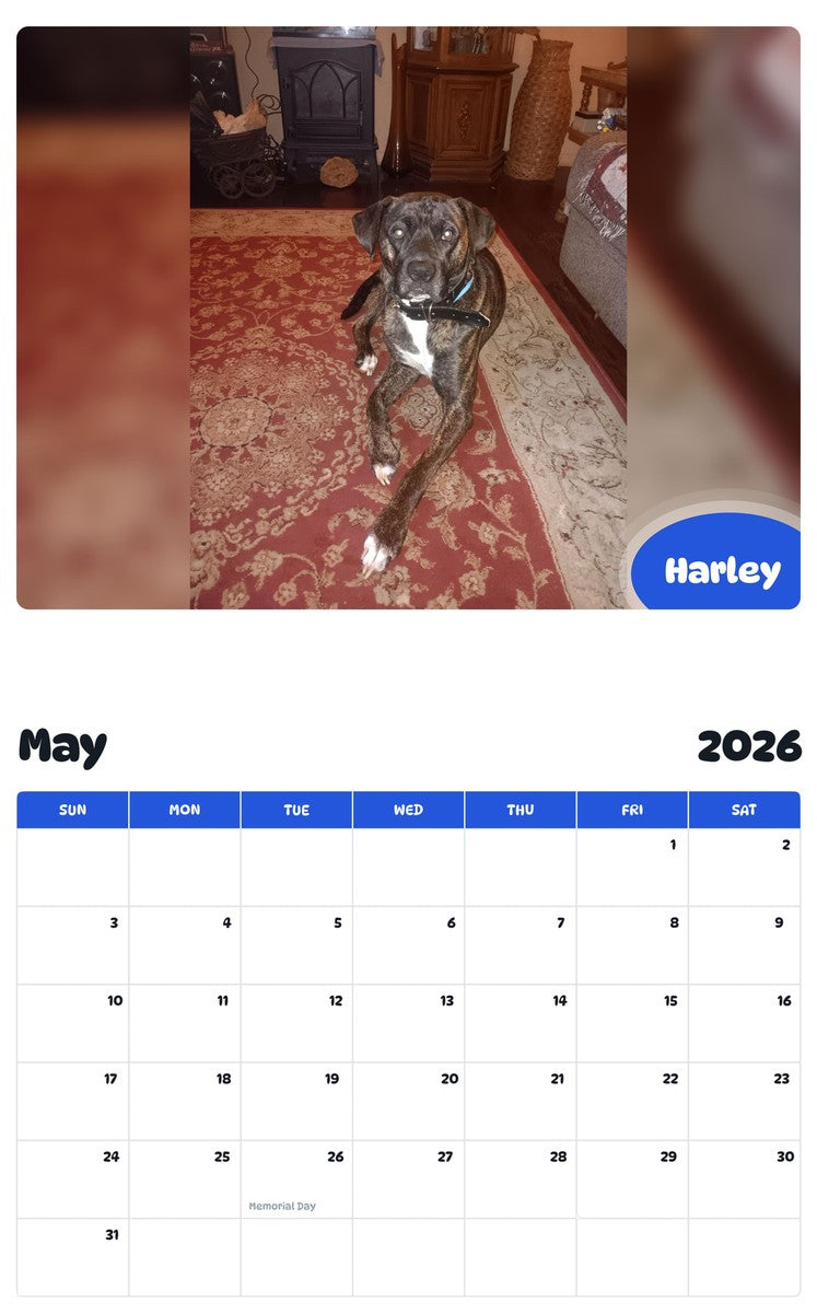 2026 - 2027 Harley - Pawidols Pet Calendar