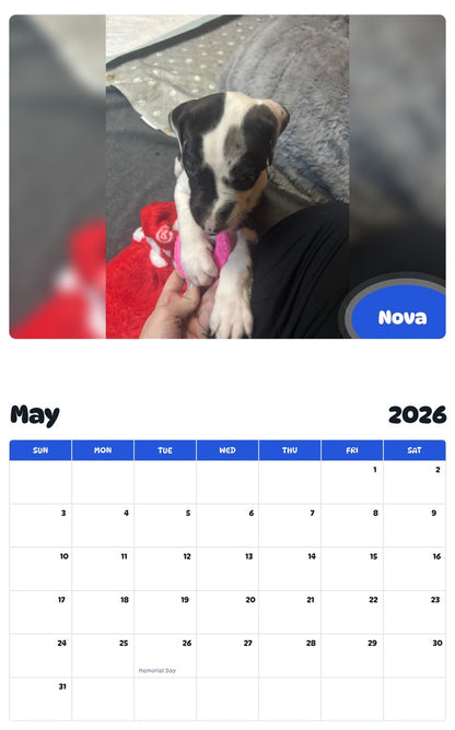 2026 - 2027 Nova - Pawidols Pet Calendar
