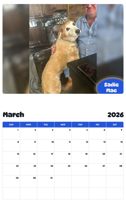 November 2025 - October 2026 Sadie Mae - Pawidols Pet Calendar