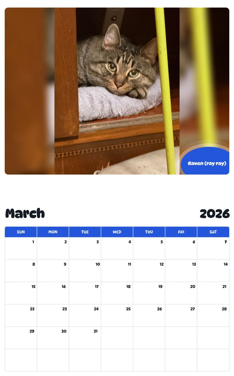 November 2025 - October 2026 Raven (ray ray) - Pawidols Pet Calendar