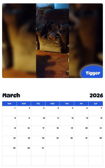 November 2025 - October 2026 Tigger - Pawidols Pet Calendar
