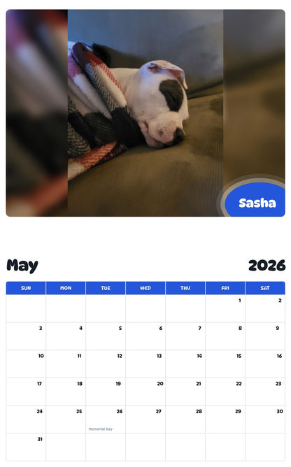 2026 - 2027 Sasha - Pawidols Pet Calendar