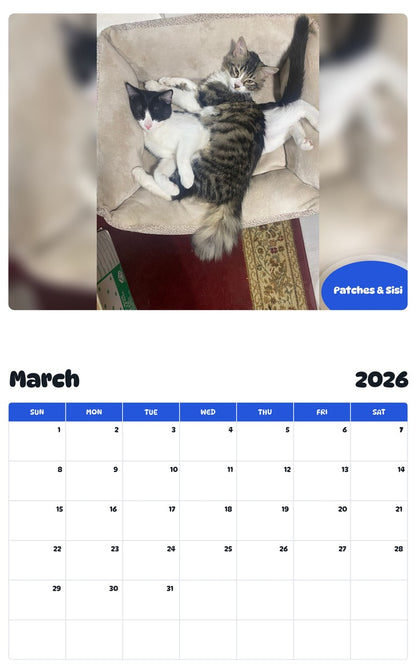November 2025 - October 2026 Patches & Sisi - Pawidols Pet Calendar