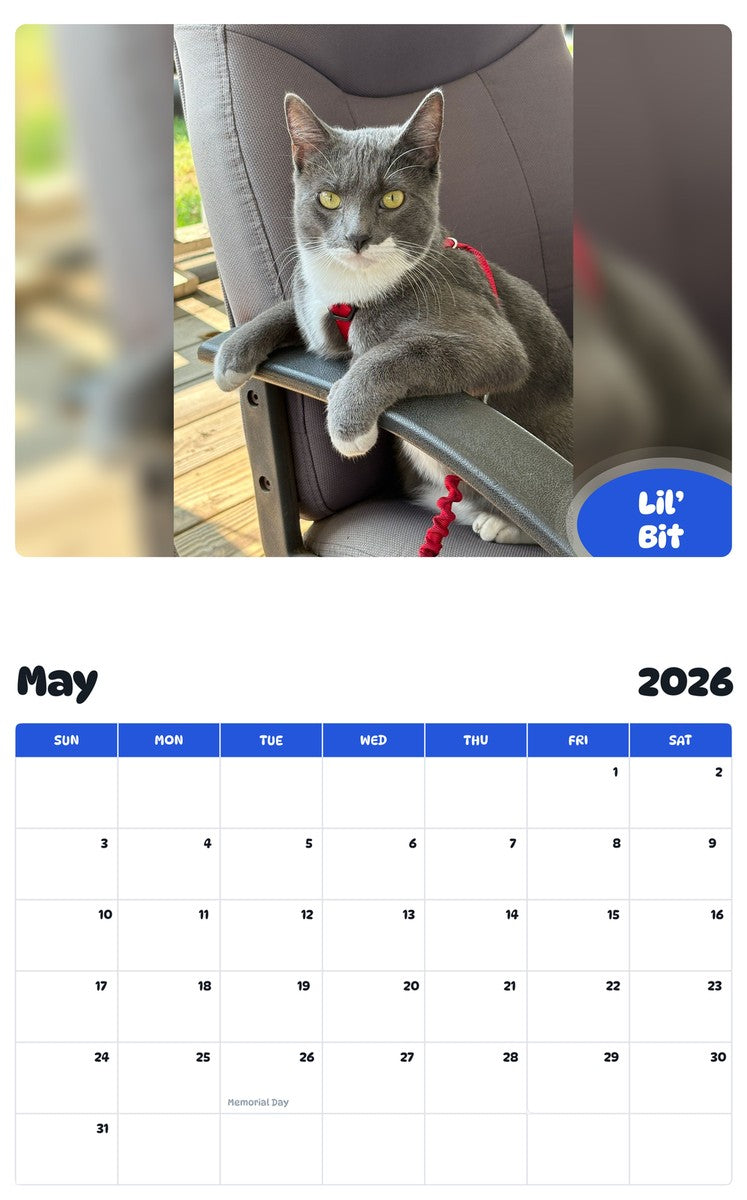2026 - 2027 Lil’ Bit - Pawidols Pet Calendar