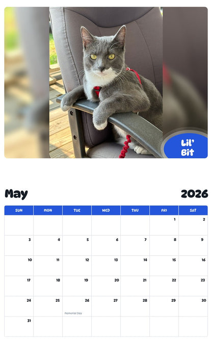 2026 - 2027 Lil’ Bit - Pawidols Pet Calendar