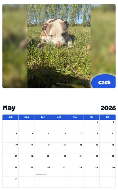 2026 - 2027 Cash - Pawidols Pet Calendar