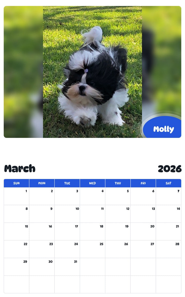 November 2025 - October 2026 Molly - Pawidols Pet Calendar