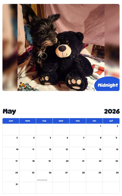 2026 - 2027 Midnight - Pawidols Pet Calendar