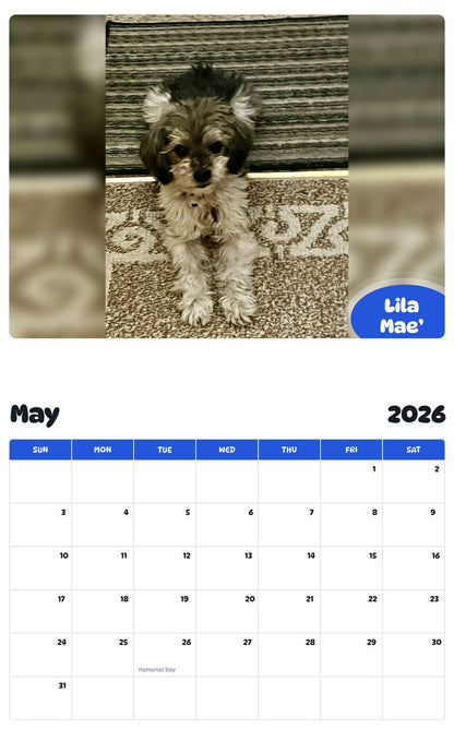 2026 - 2027 Lila Mae’ - Pawidols Pet Calendar
