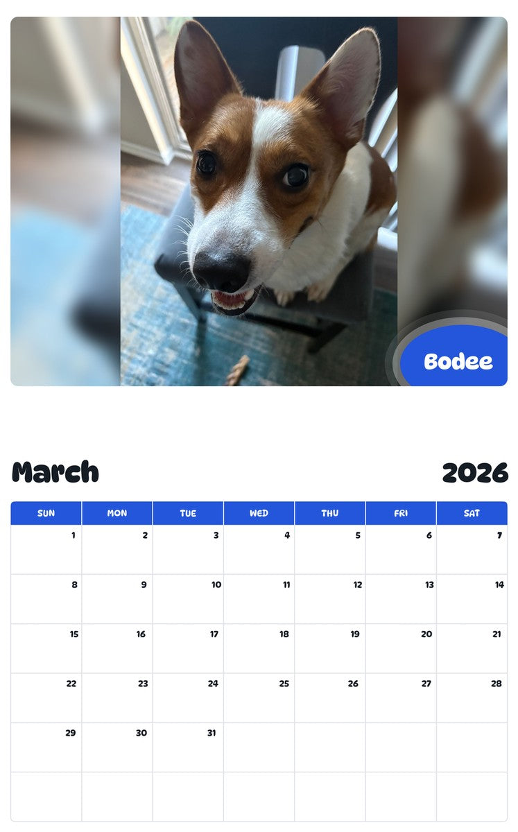 November 2025 - October 2026 Bodee - Pawidols Pet Calendar