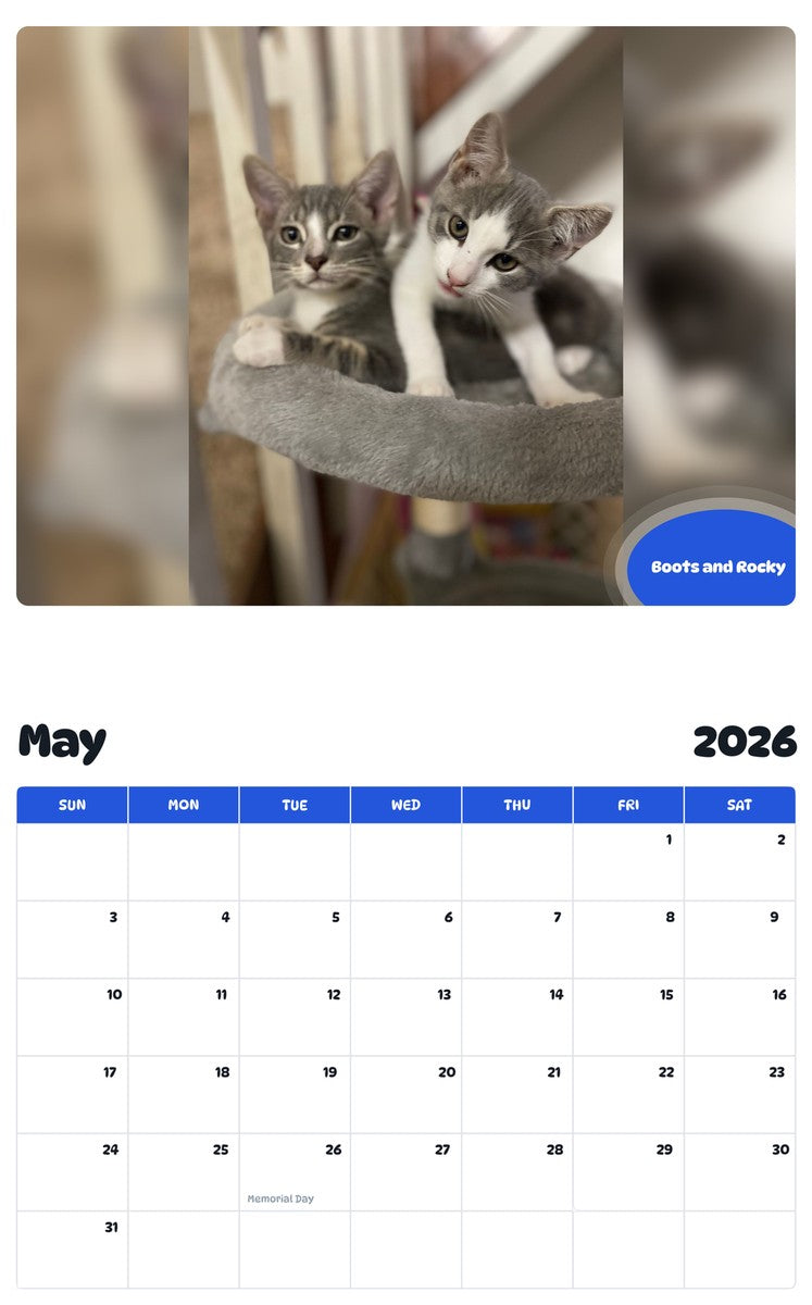 2026 - 2027 Boots and Rocky - Pawidols Pet Calendar