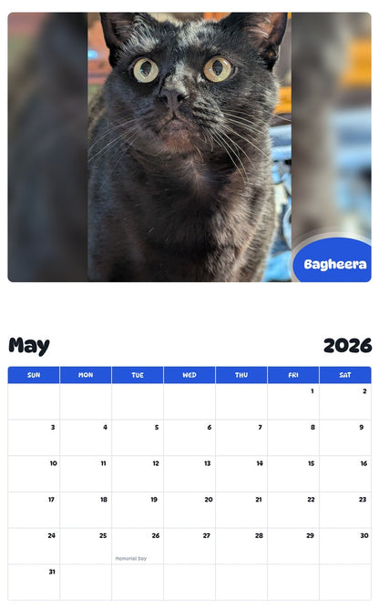 2026 - 2027 Bagheera - Pawidols Pet Calendar