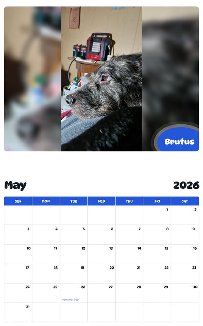 2026 - 2027 Brutus - Pawidols Pet Calendar