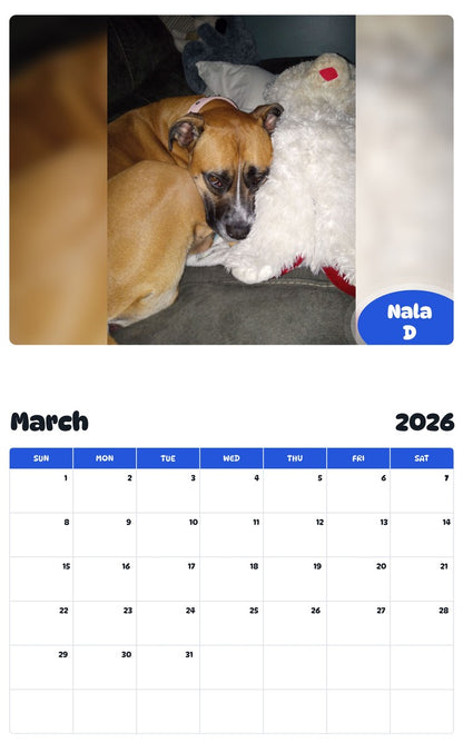 November 2025 - October 2026 Nala D - Pawidols Pet Calendar