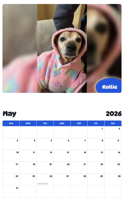2026 - 2027 Rollie - Pawidols Pet Calendar