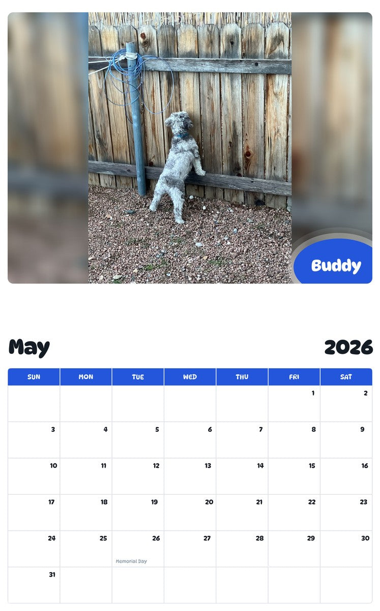 2026 - 2027 Buddy - Pawidols Pet Calendar