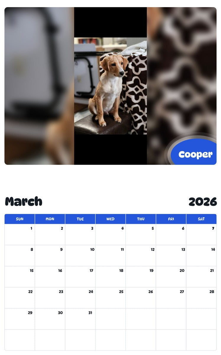 November 2025 - October 2026 Cooper - Pawidols Pet Calendar