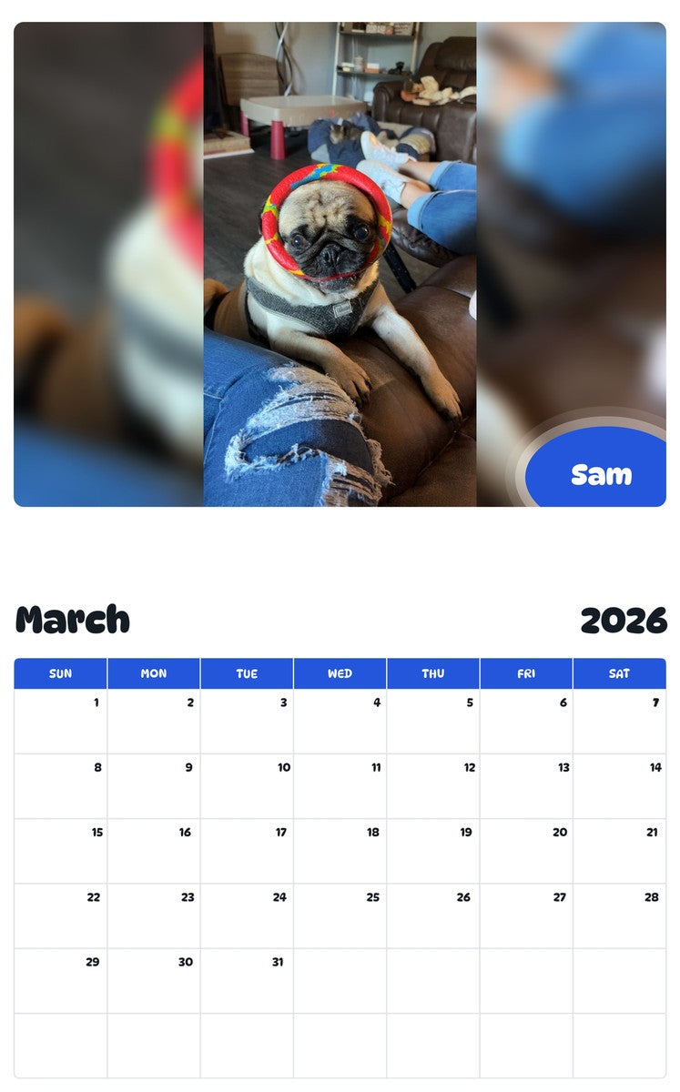 November 2025 - October 2026 Sam - Pawidols Pet Calendar