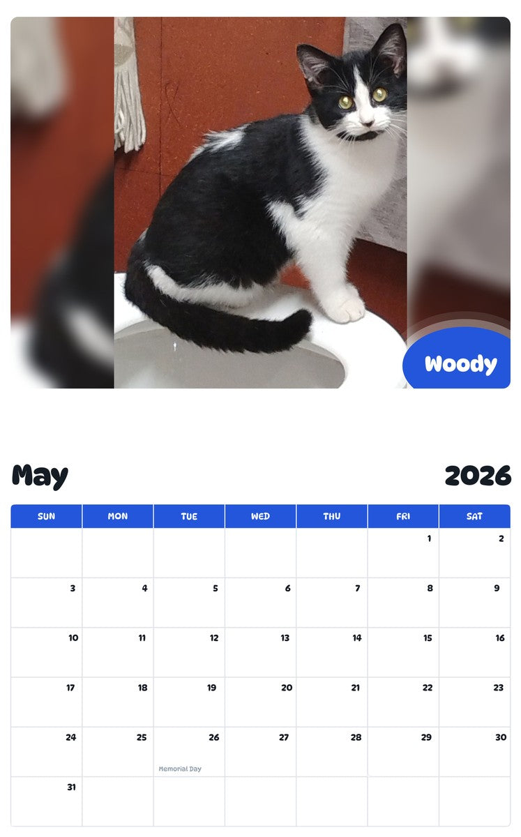 2026 - 2027 Woody - Pawidols Pet Calendar