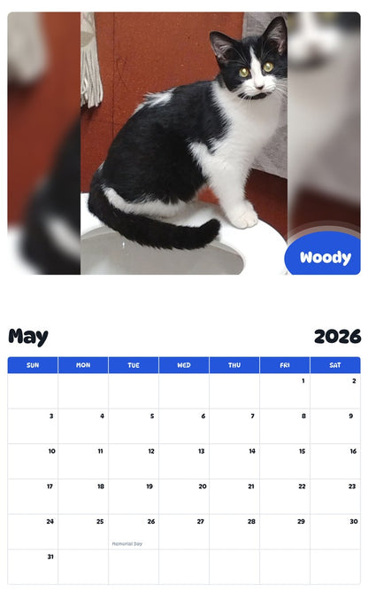 2026 - 2027 Woody - Pawidols Pet Calendar