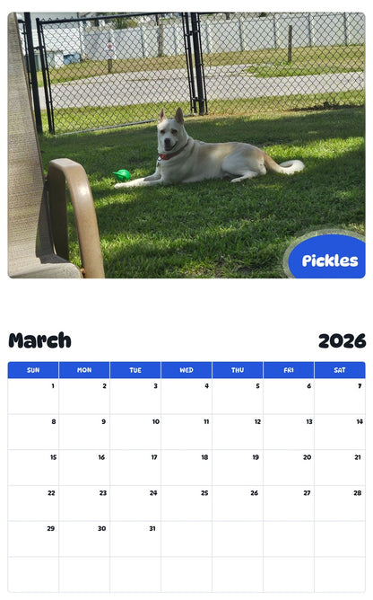 November 2025 - October 2026 Pickles - Pawidols Pet Calendar