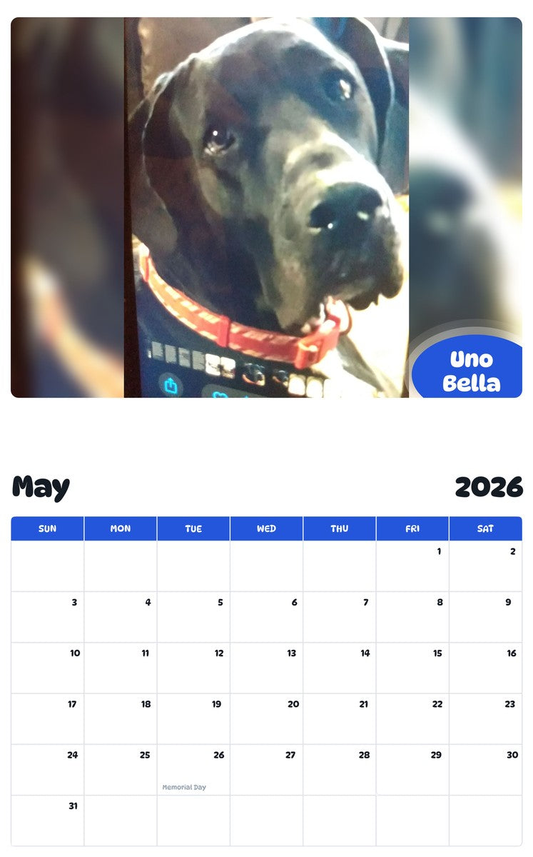 2026 - 2027 Uno Bella - Pawidols Pet Calendar