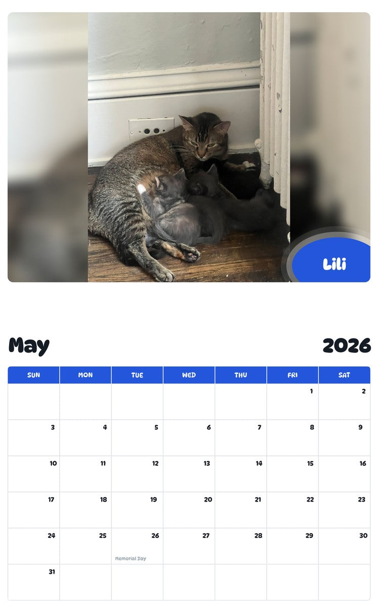 2026 - 2027 Lili - Pawidols Pet Calendar