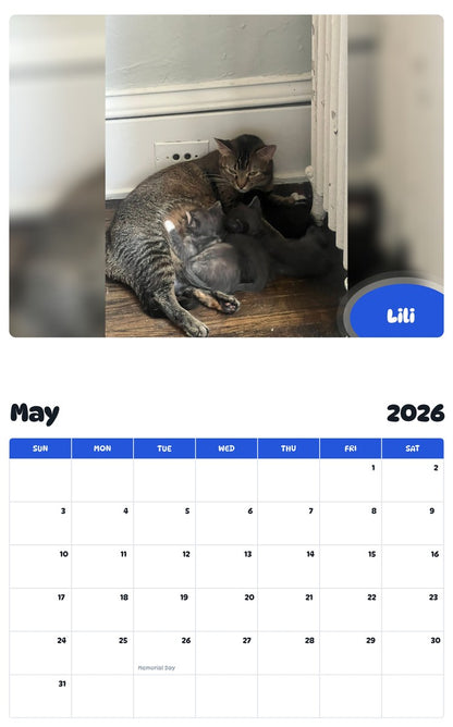 2026 - 2027 Lili - Pawidols Pet Calendar