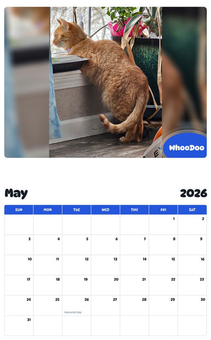 2026 - 2027 WhooDoo - Pawidols Pet Calendar