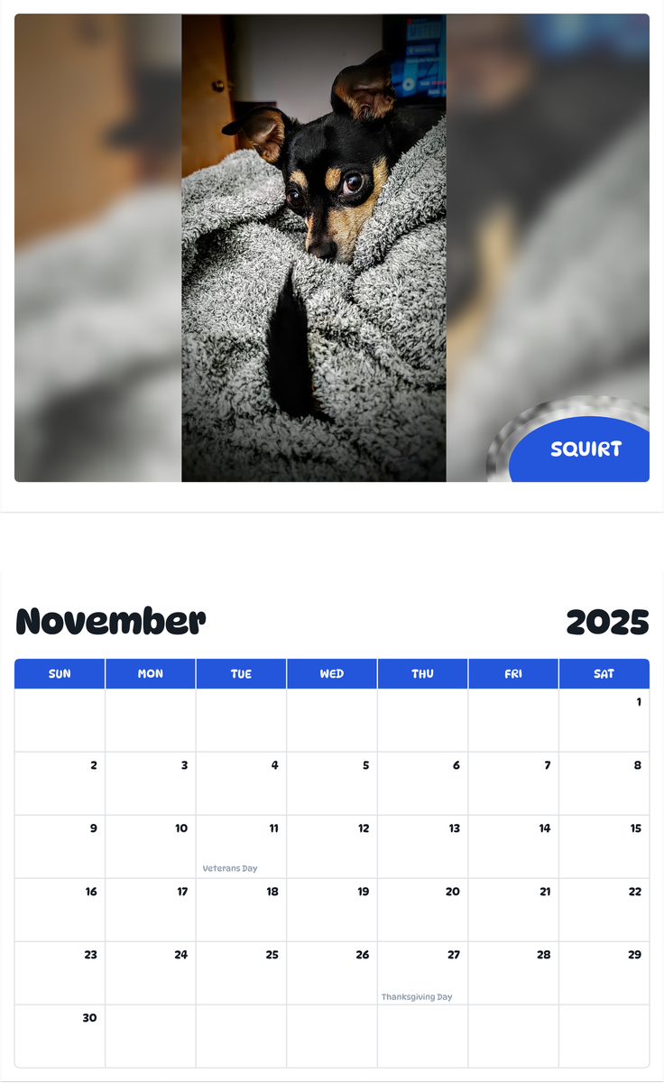 July 2025 - June 2026 Squirt - Pawidols Pet Calendar