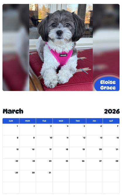 November 2025 - October 2026 Eloise Grace - Pawidols Pet Calendar