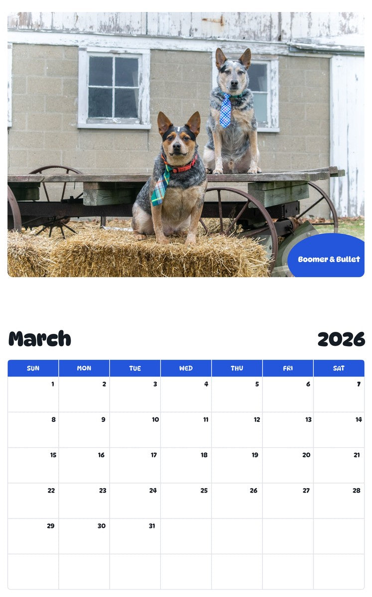 November 2025 - October 2026 Boomer & Bullet - Pawidols Pet Calendar