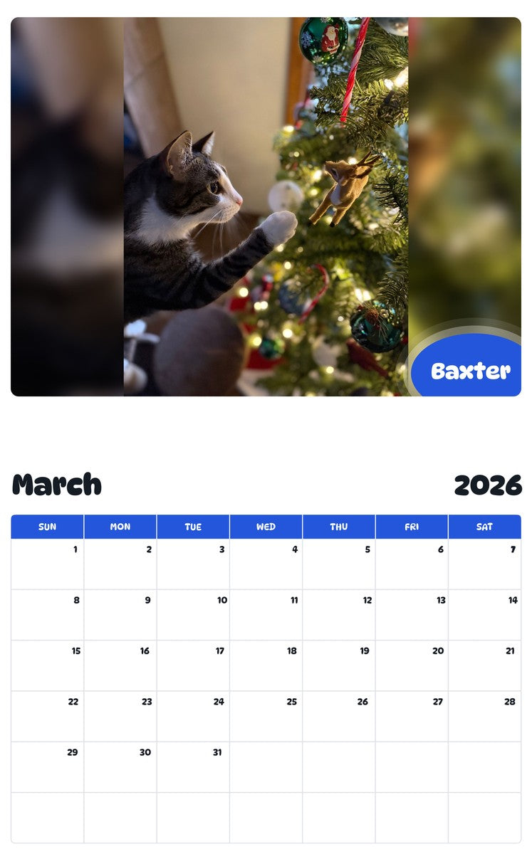November 2025 - October 2026 Baxter - Pawidols Pet Calendar