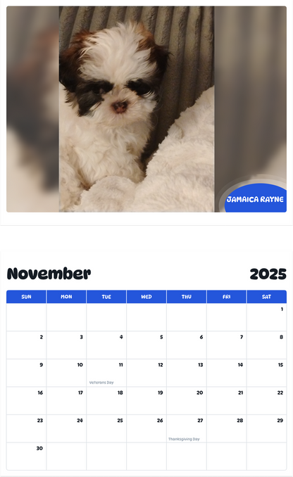 July 2025 - June 2026 Jamaica Rayne - Pawidols Pet Calendar