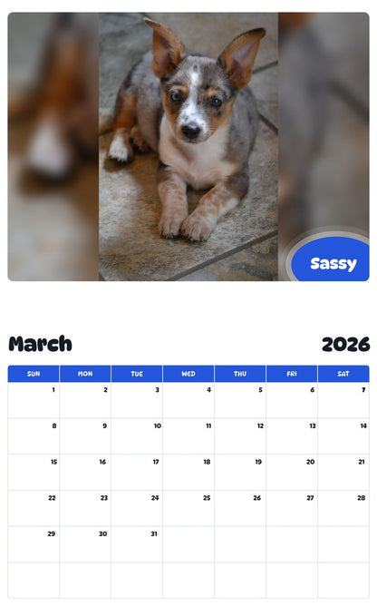 November 2025 - October 2026 Sassy - Pawidols Pet Calendar