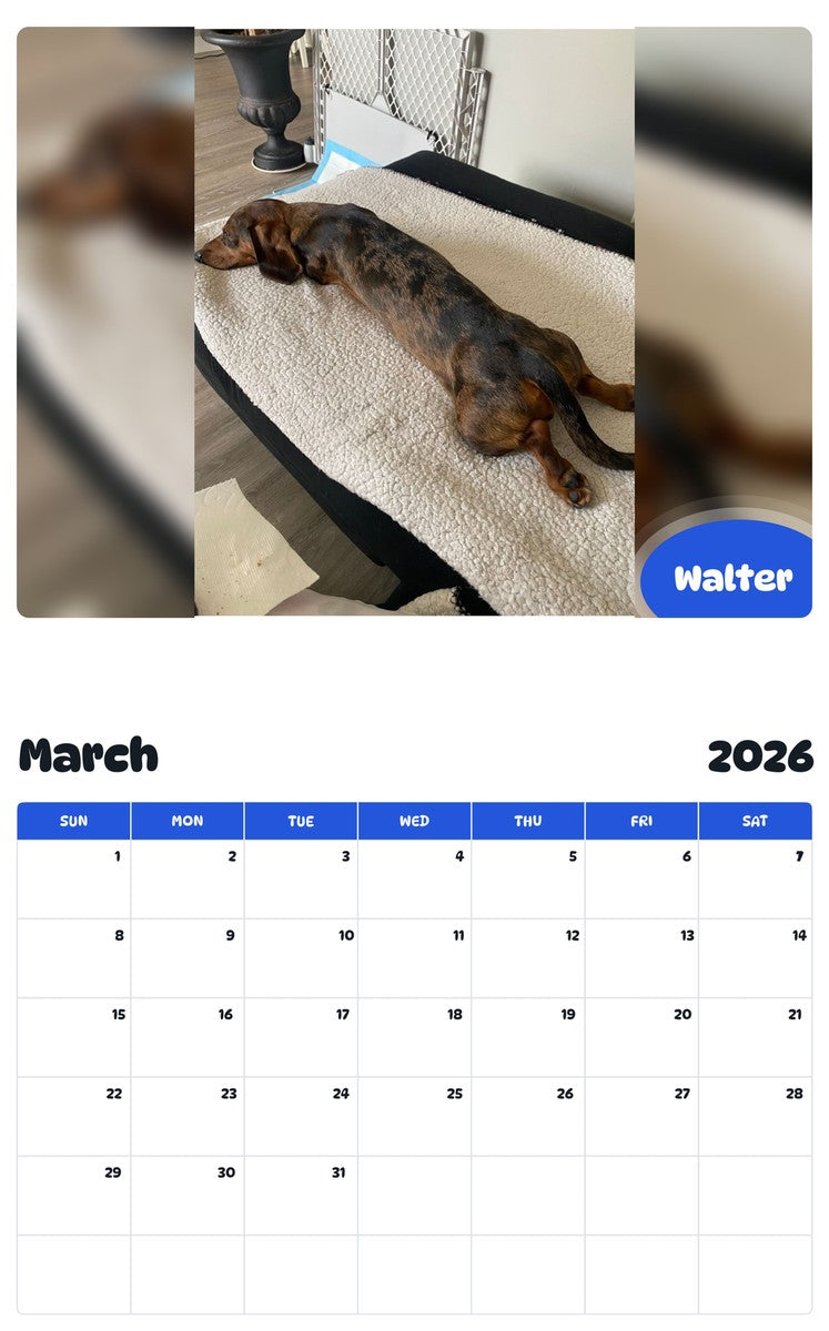 November 2025 - October 2026 Walter - Pawidols Pet Calendar
