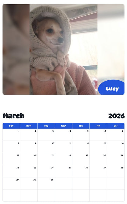 November 2025 - October 2026 Lucy - Pawidols Pet Calendar