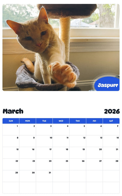 November 2025 - October 2026 Jaspurr - Pawidols Pet Calendar
