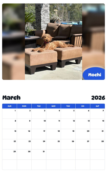 November 2025 - October 2026 Mochi - Pawidols Pet Calendar