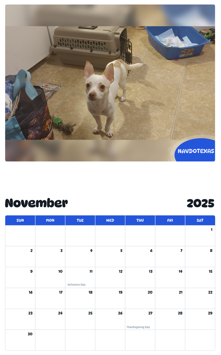 July 2025 - June 2026 Navdotexas - Pawidols Pet Calendar