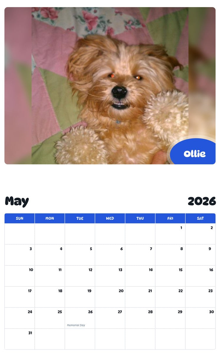 2026 - 2027 Ollie - Pawidols Pet Calendar