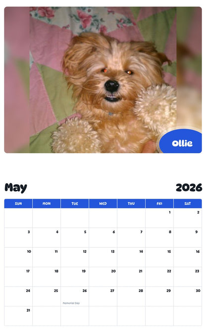 2026 - 2027 Ollie - Pawidols Pet Calendar