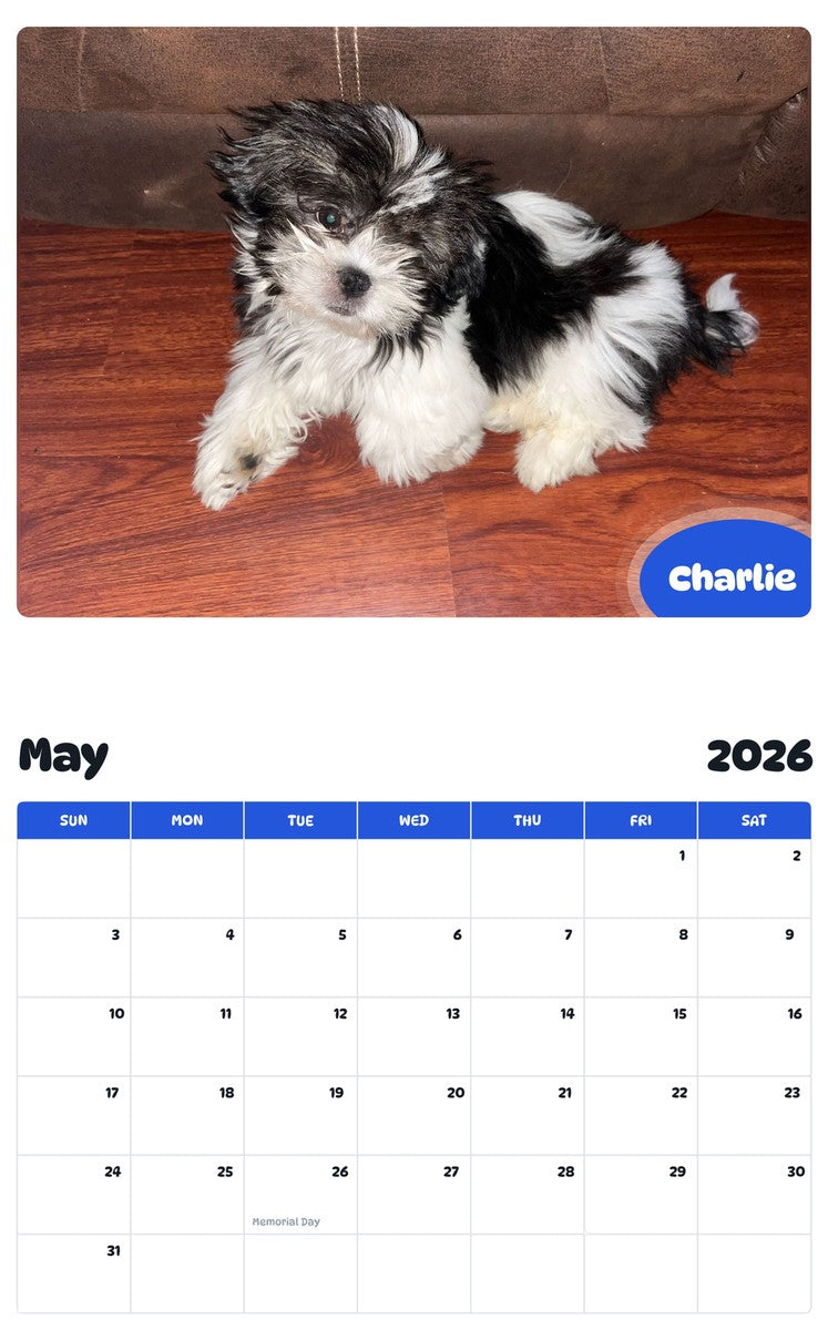 2026 - 2027 Charlie - Pawidols Pet Calendar