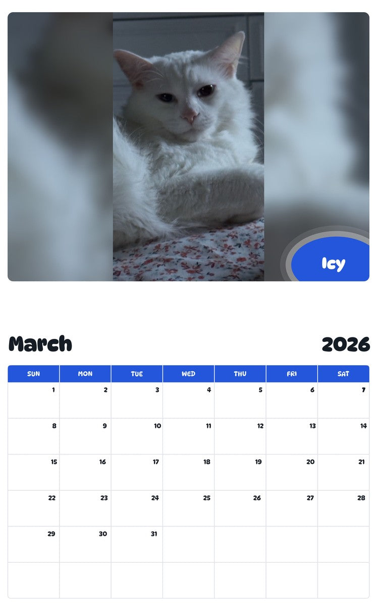 November 2025 - October 2026 Icy - Pawidols Pet Calendar