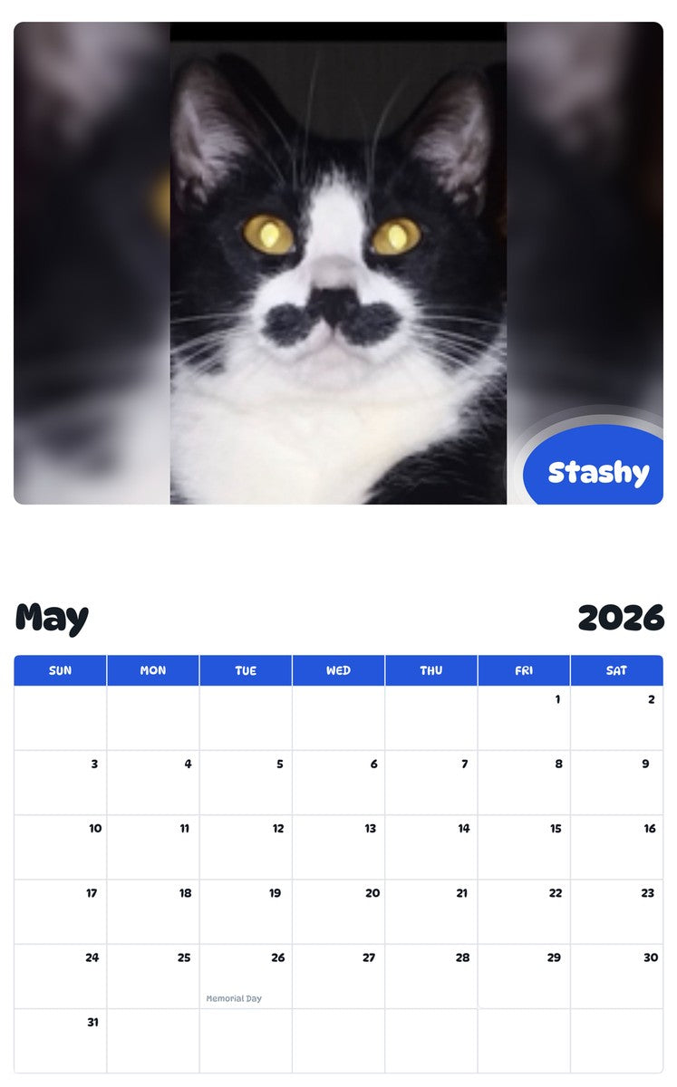 2026 - 2027 Stashy - Pawidols Pet Calendar
