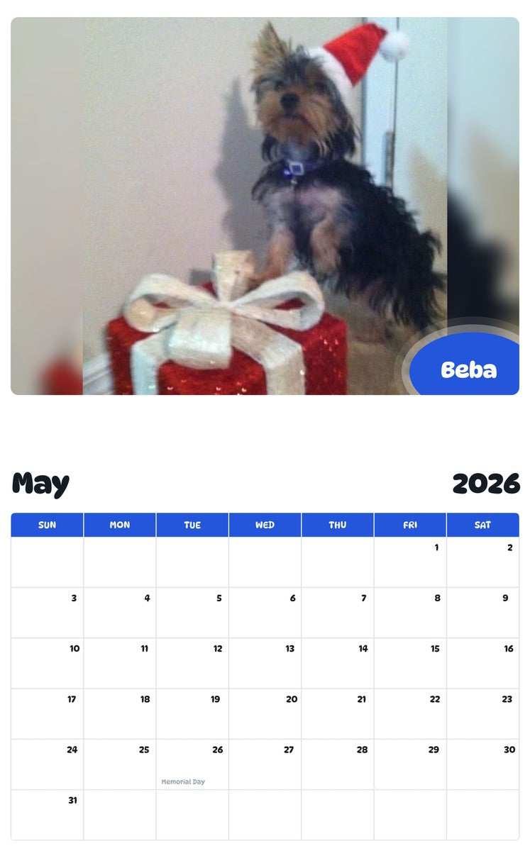2026 - 2027 Beba - Pawidols Pet Calendar