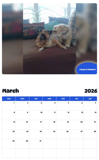 November 2025 - October 2026 Penny & Snickers - Pawidols Pet Calendar