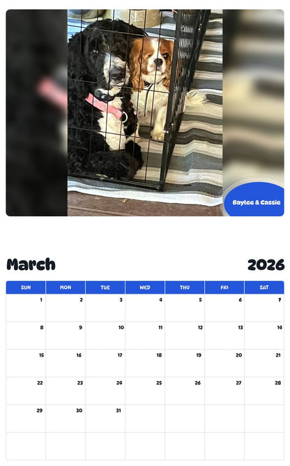 November 2025 - October 2026 Baylee & Cassie - Pawidols Pet Calendar